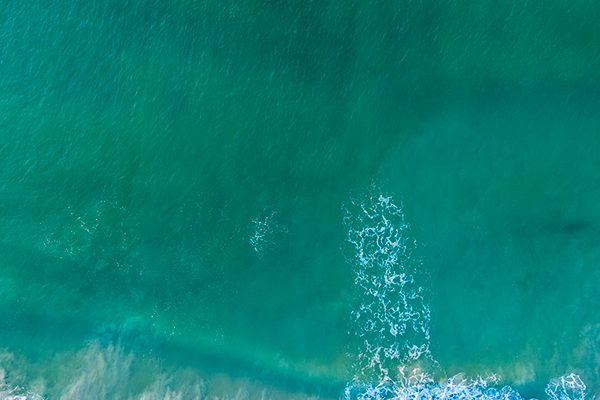 Paddle Surf